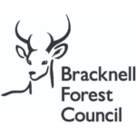 Bracknell Forest Council, Digital Council of the Year