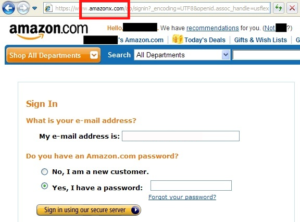 example of fake website