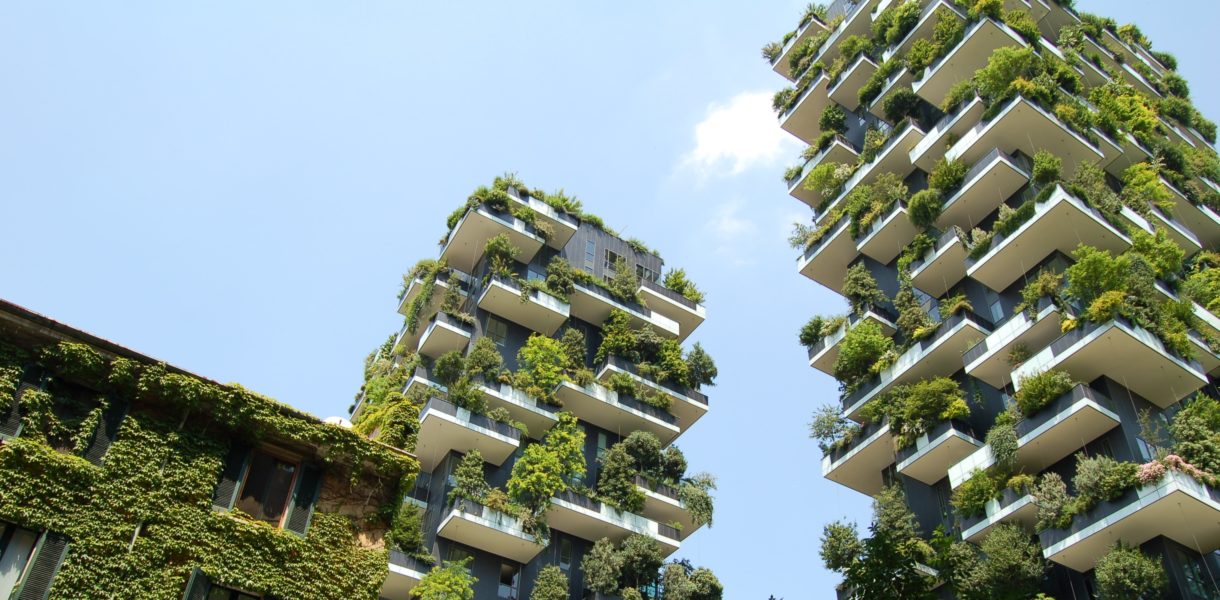building covered in plants