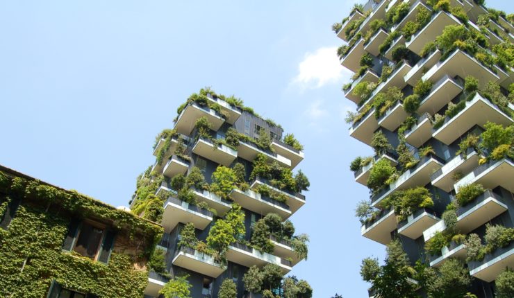 building covered in plants