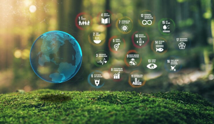 17,Global,Goals,Concept,Earth,Plexus,Design,In,Moss,Forrest