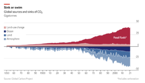 Sink or Swim - Global Sources and Sinks of CO2